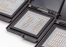 Pilot Photonics laser dies