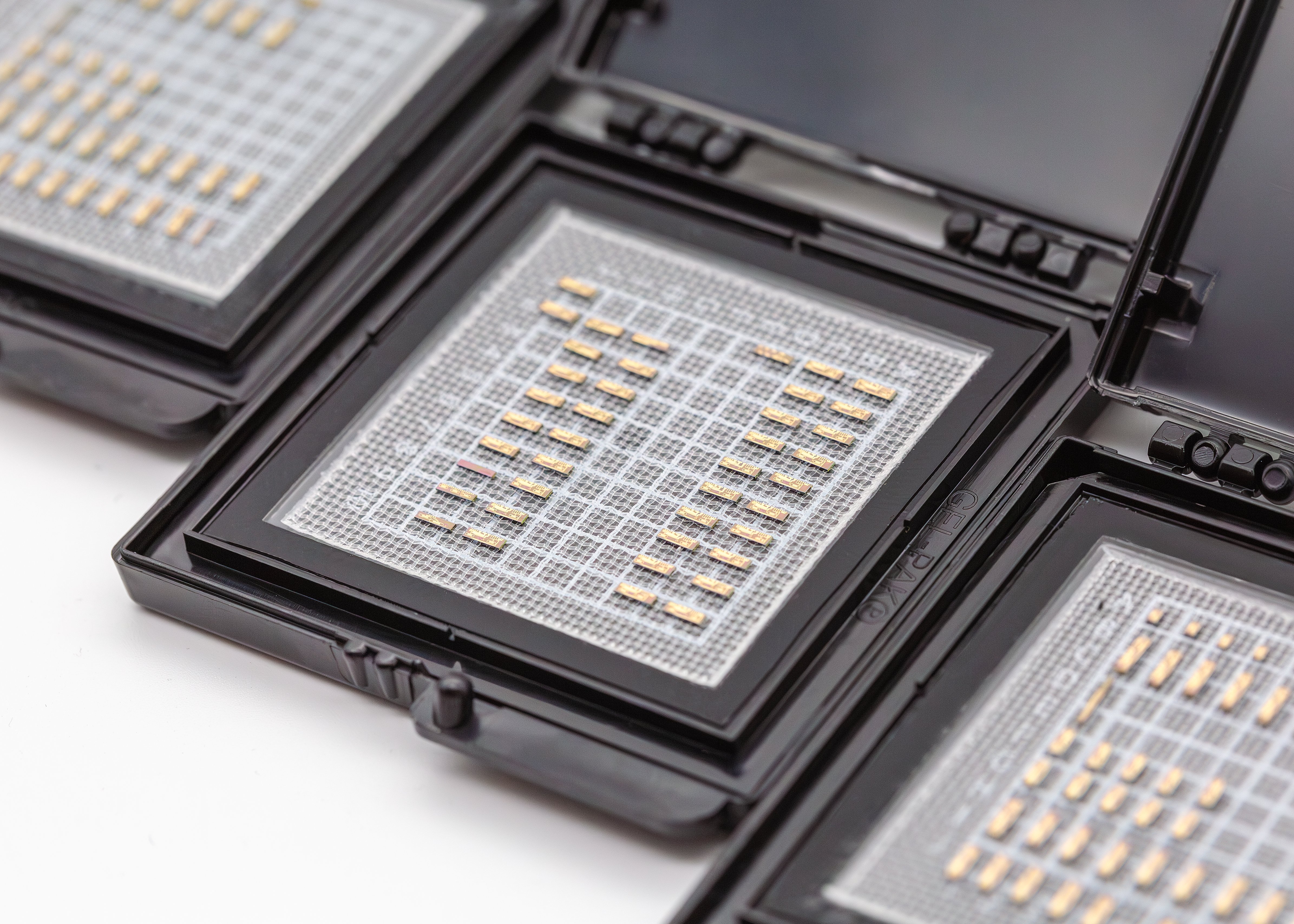 Pilot Photonics laser dies